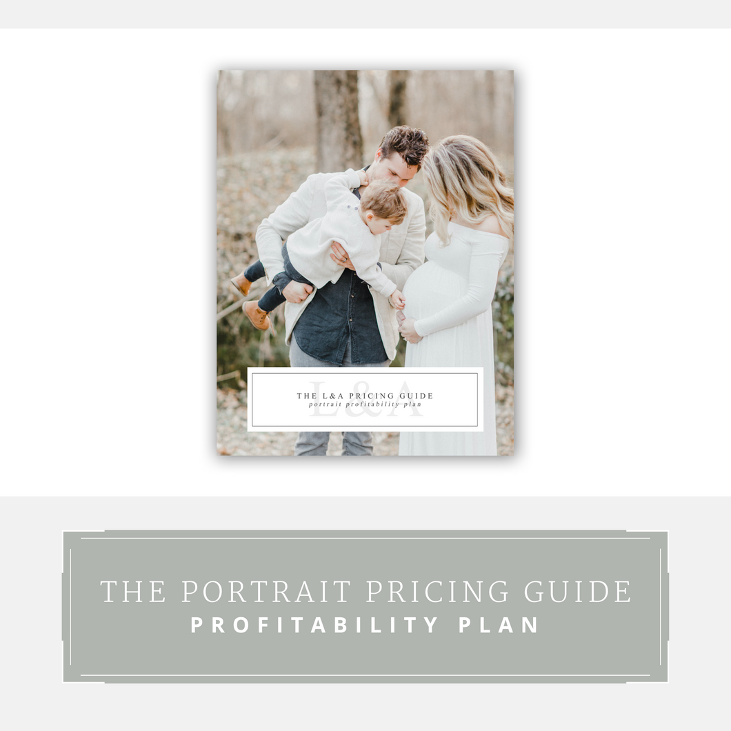 The Portrait Pricing Guide Profitability Plan